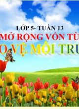 Bài giảng Tiếng việt lớp 5 - Luyện từ và câu Mở rộng vốn từ Bảo vệ môi trường